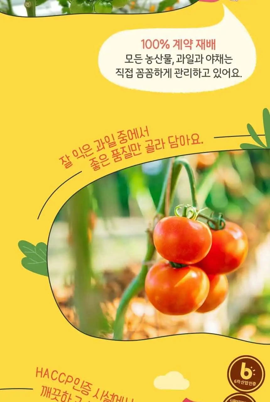 착즙하는남자 토마토주스 100ml 상세페이지 7