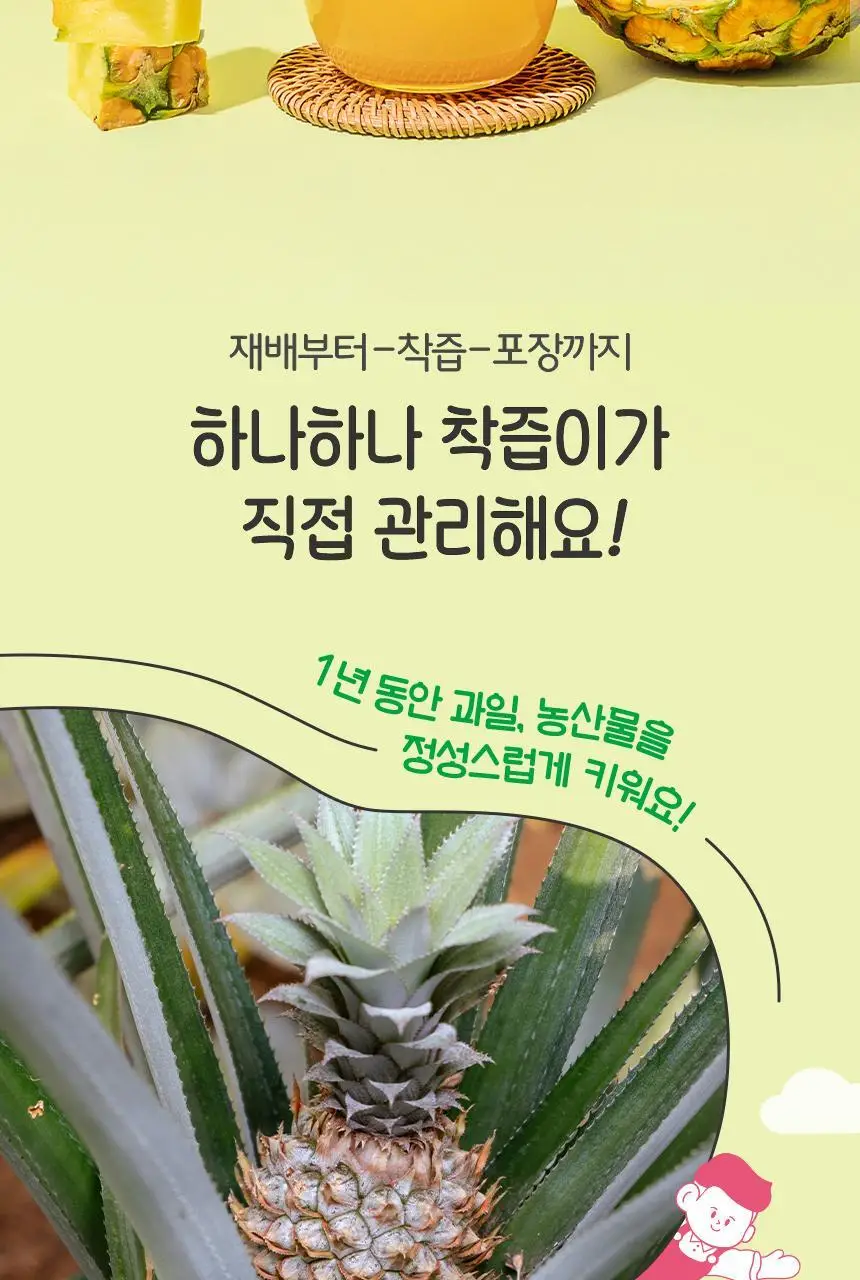 착즙하는남자 파인애플주스 100ml 상세페이지 5