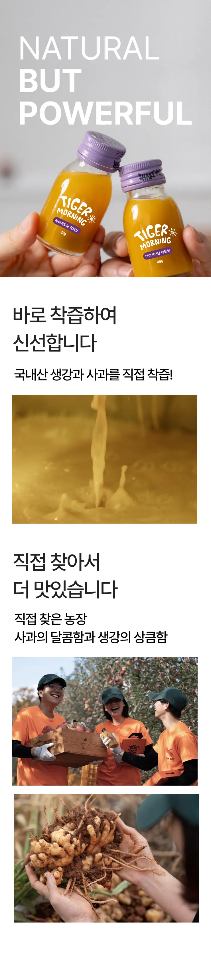 타이거모닝 미니보틀 40g 1병 3종 택1 상세페이지 13