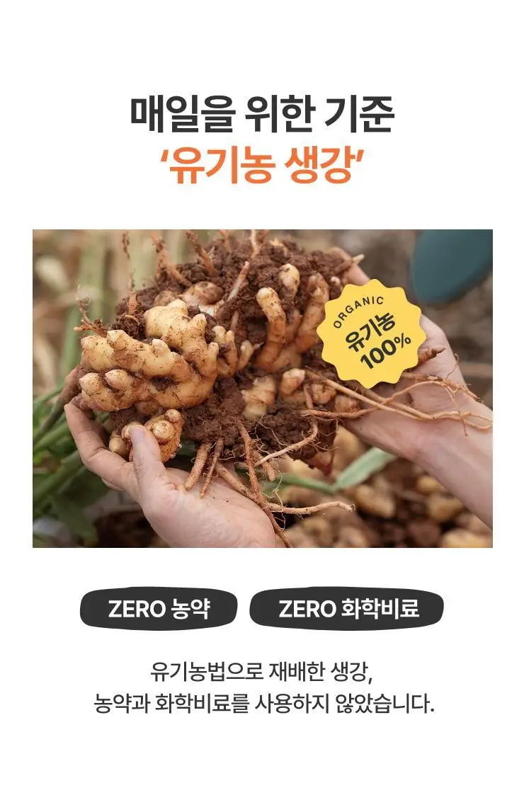 타이거모닝 진저샷 마일드 스틱 20g 1개입 상세페이지 6
