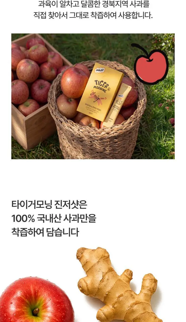 타이거모닝 진저샷 마일드 스틱 20g 15개입 상세페이지 24
