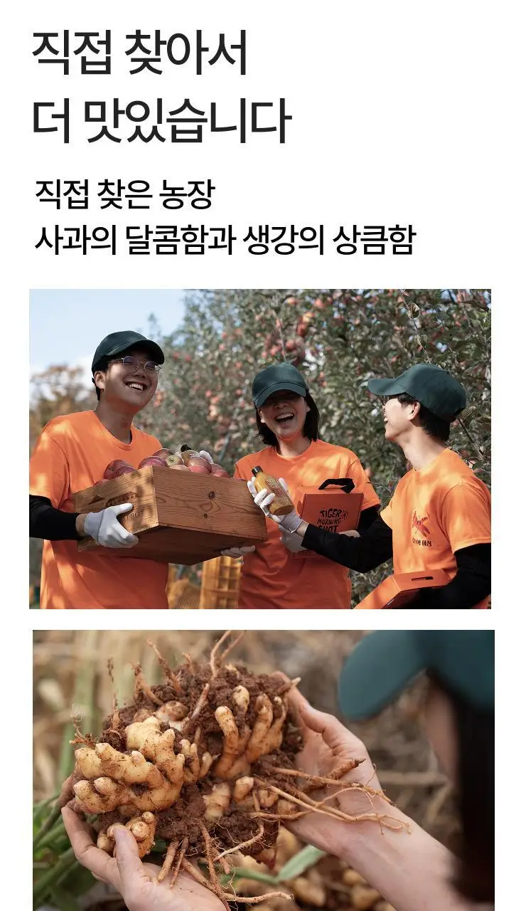 타이거모닝 진저샷 350ml 상세페이지 35