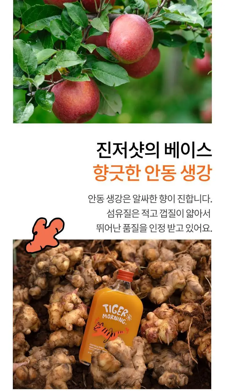 타이거모닝 진저샷 350ml 상세페이지 51