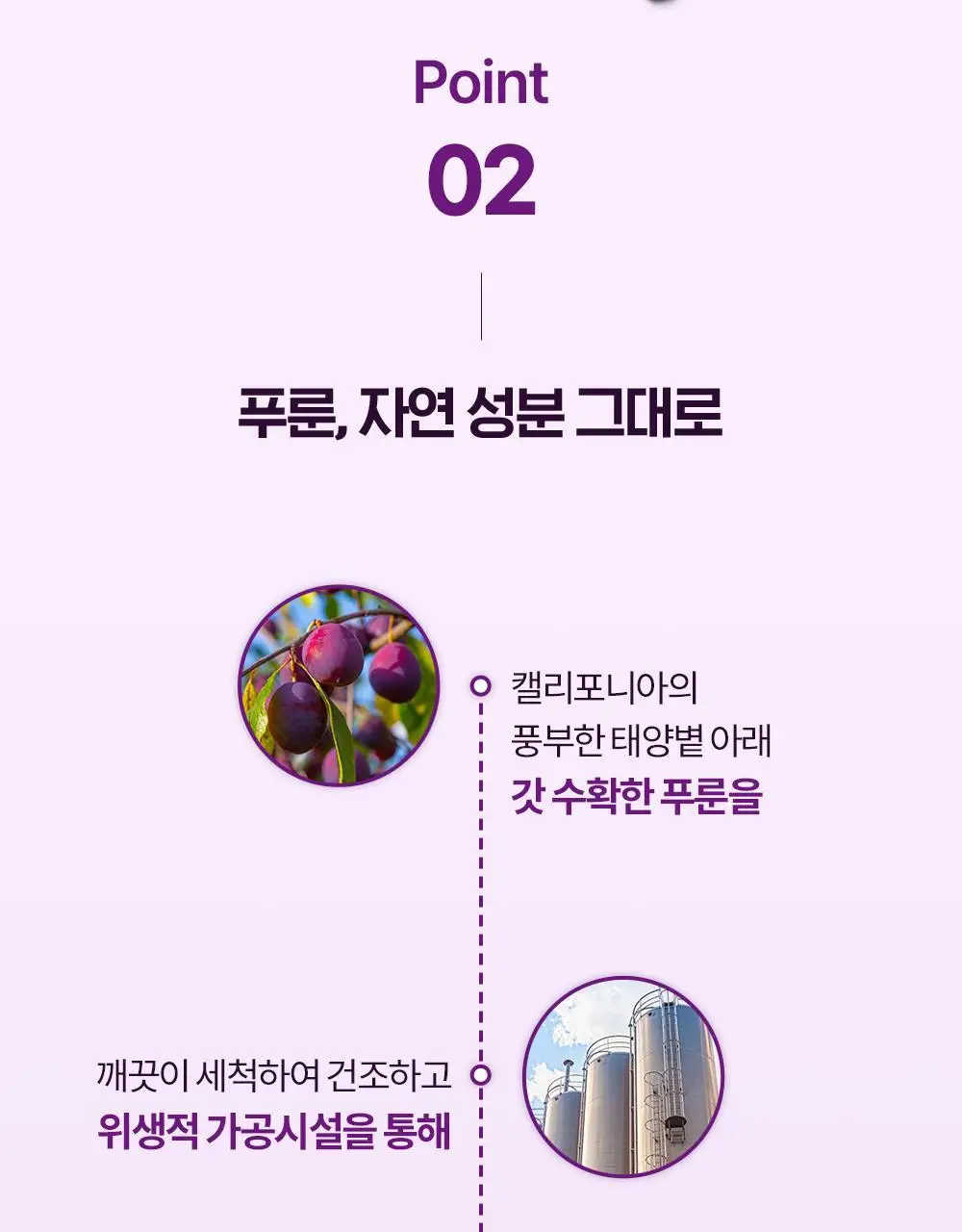 테일러푸룬주스180ml 상세페이지 15