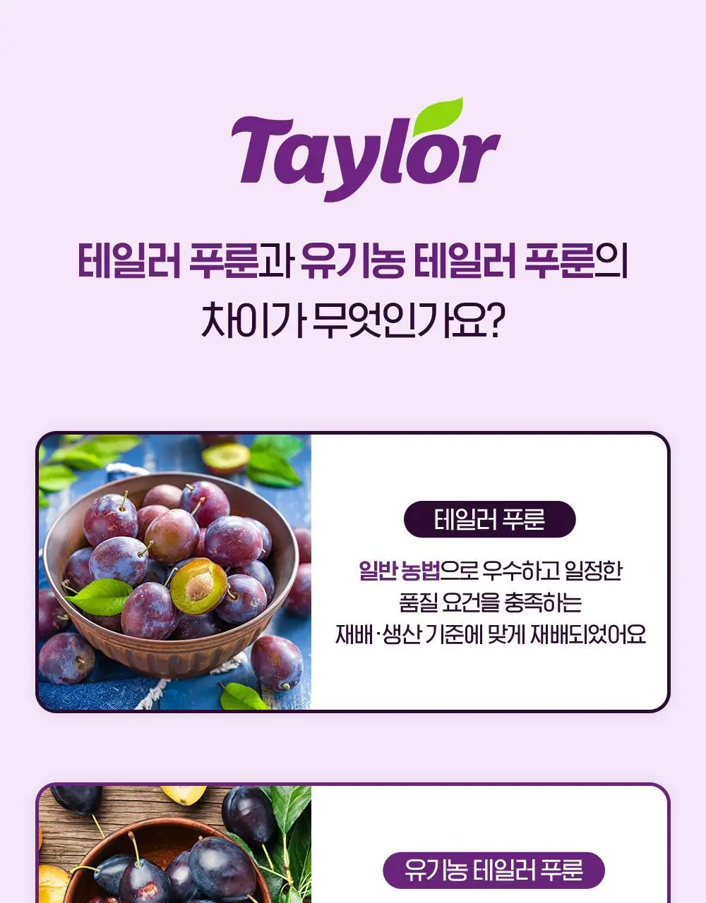 테일러푸룬주스180ml 상세페이지 25