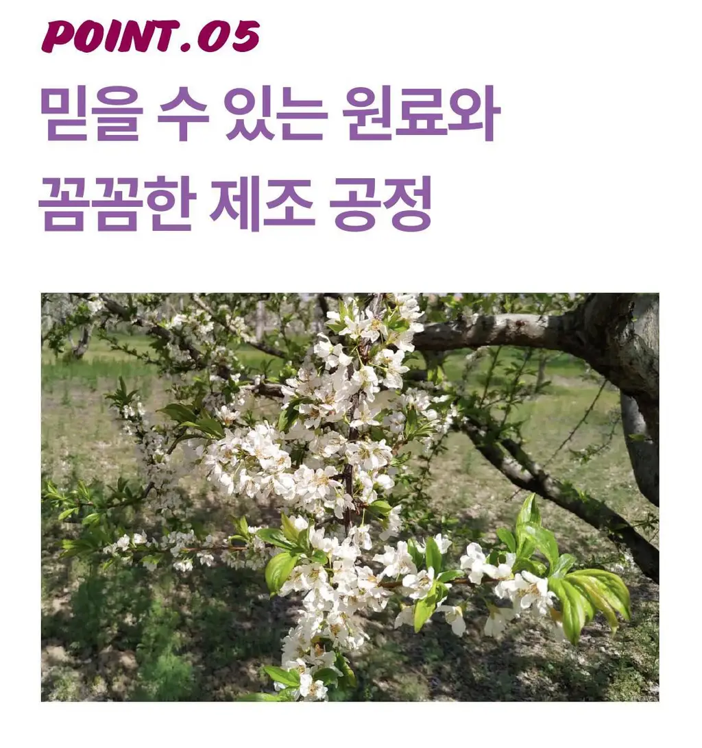 헤이N 100% 유기농 푸룬즙 20ml 14포 상세페이지 15