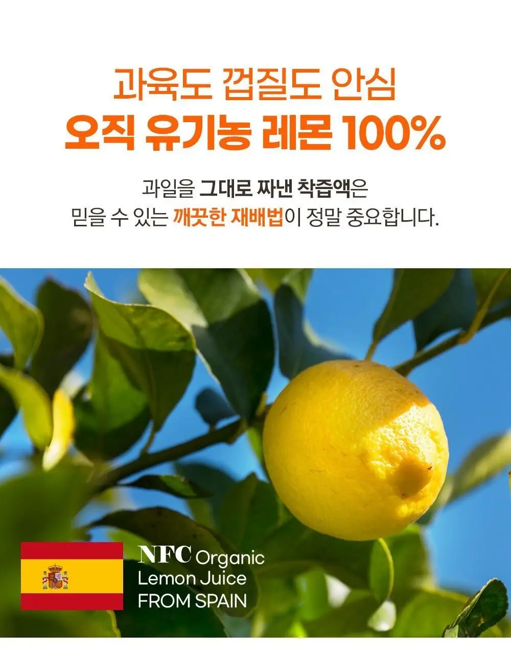 홀베리 유기농 레몬 시리즈 5종 택1(기획팩/레몬/레몬토마토/레몬자몽/레몬생강) 상세페이지 10