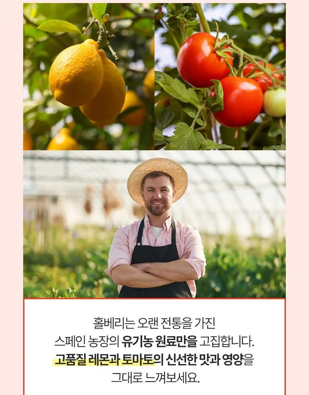 홀베리 유기농 레몬 시리즈 5종 택1(기획팩/레몬/레몬토마토/레몬자몽/레몬생강) 상세페이지 22