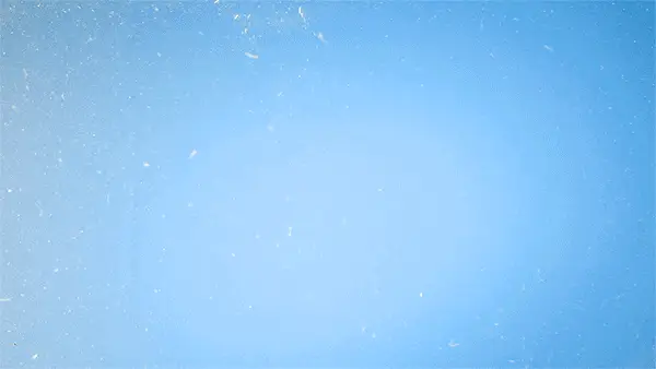 홀베리 유기농 레몬수 (500mlx24병) 상세페이지 5