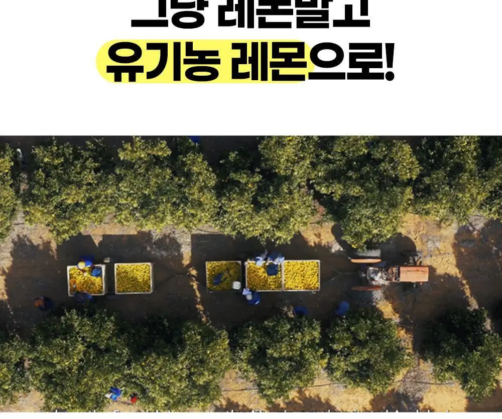 홀베리 유기농 레몬수 (500mlx24병) 상세페이지 13