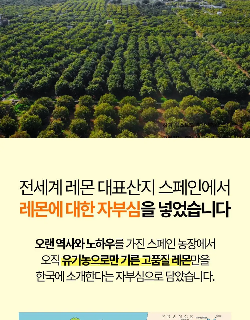 홀베리 유기농 레몬수 (500mlx24병) 상세페이지 14