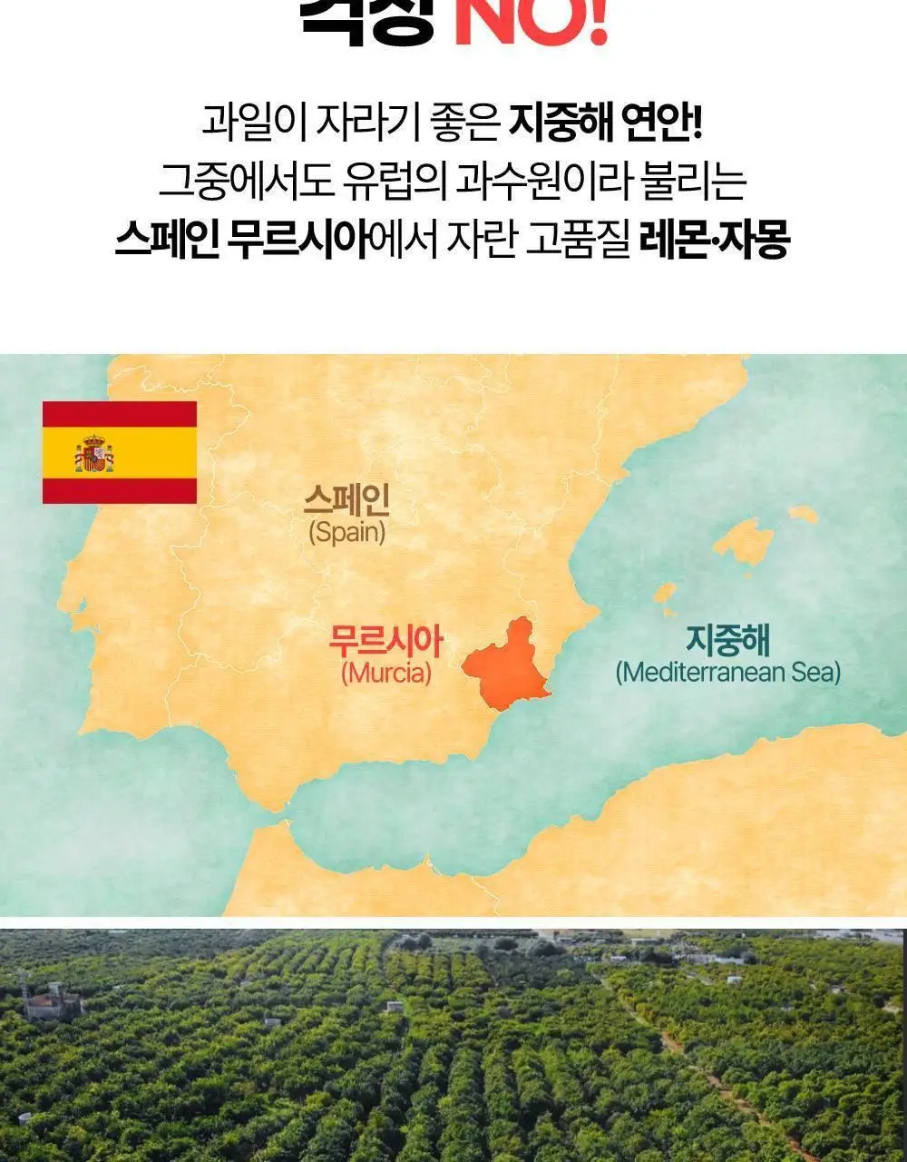 홀베리 유기농 레몬자몽즙 20g 14포 2박스 상세페이지 23