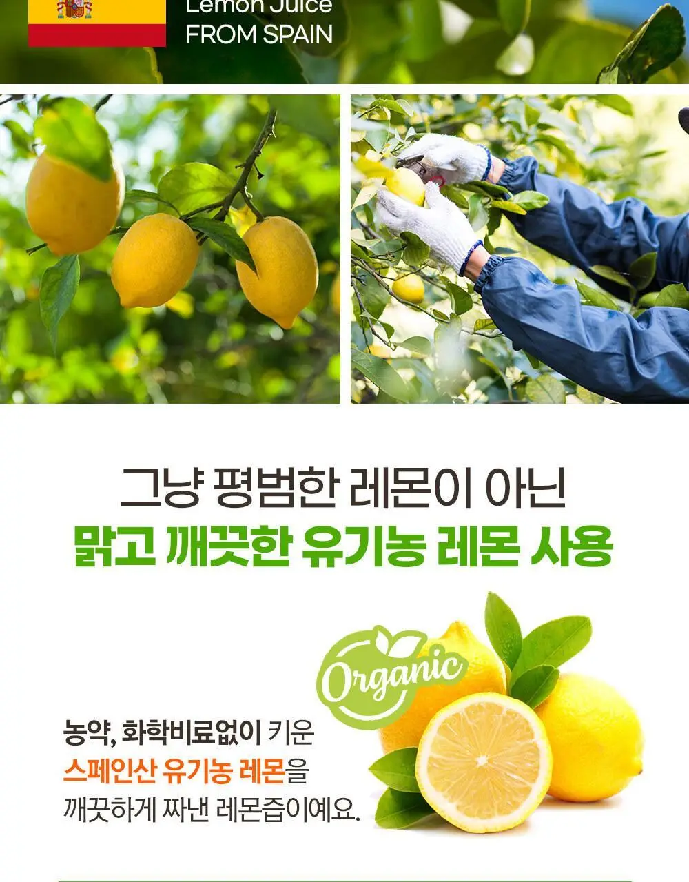 홀베리 유기농 레몬즙 25g 14포 2박스 상세페이지 32