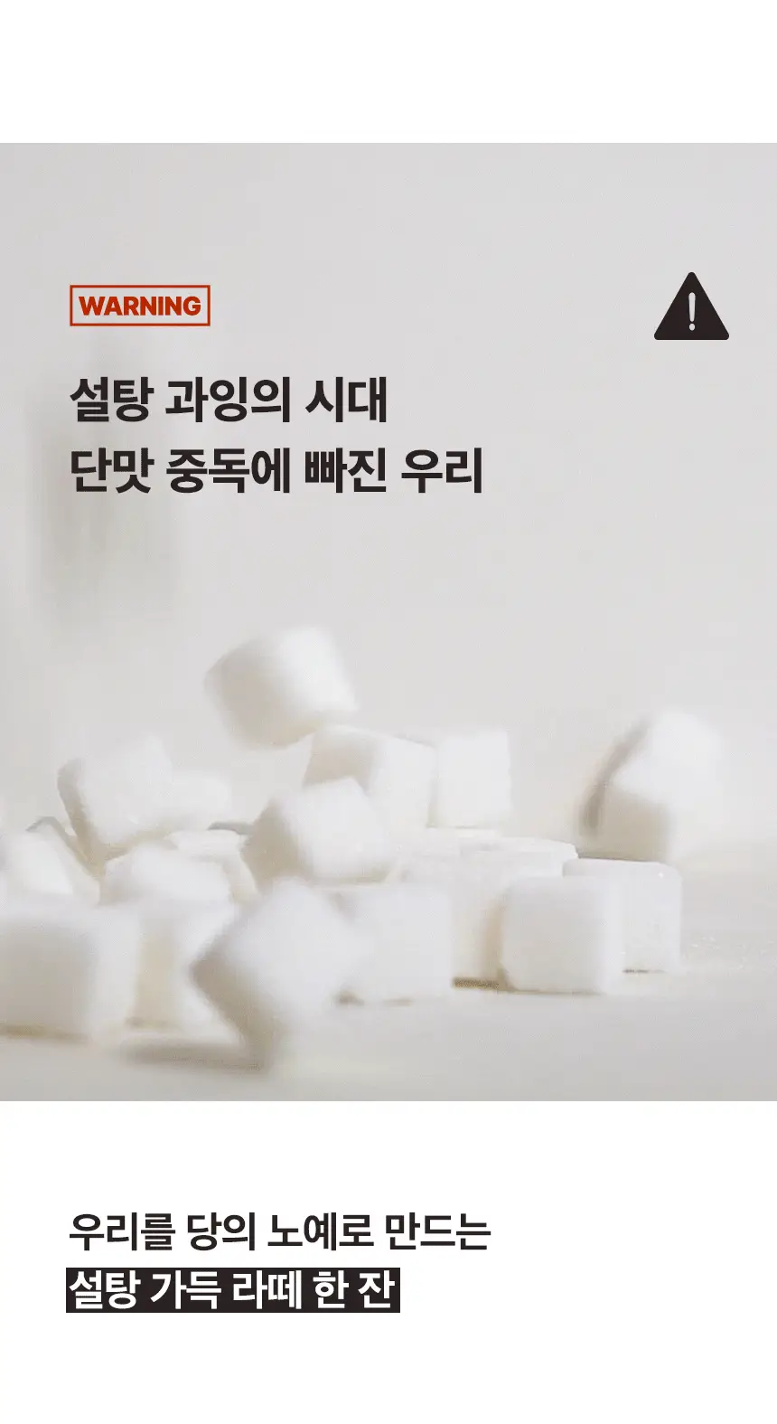 가루선생 메이크라떼 제로슈가 12g 밀크티 10개입 상세페이지 8