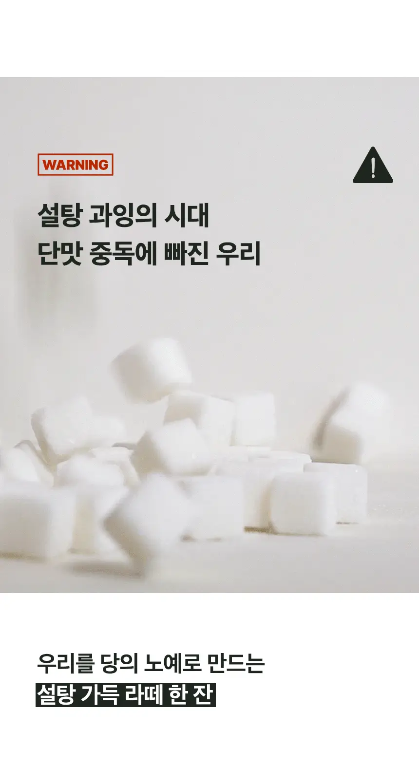 가루선생 메이크라떼 제로슈가 12g 제주말차 10개입 상세페이지 8