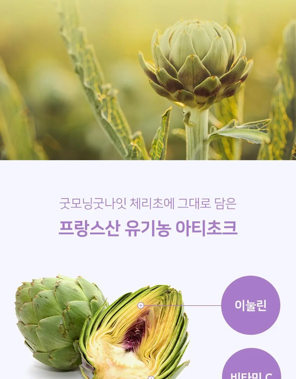 굿모닝굿나잇 체리초 10포 상세페이지 17