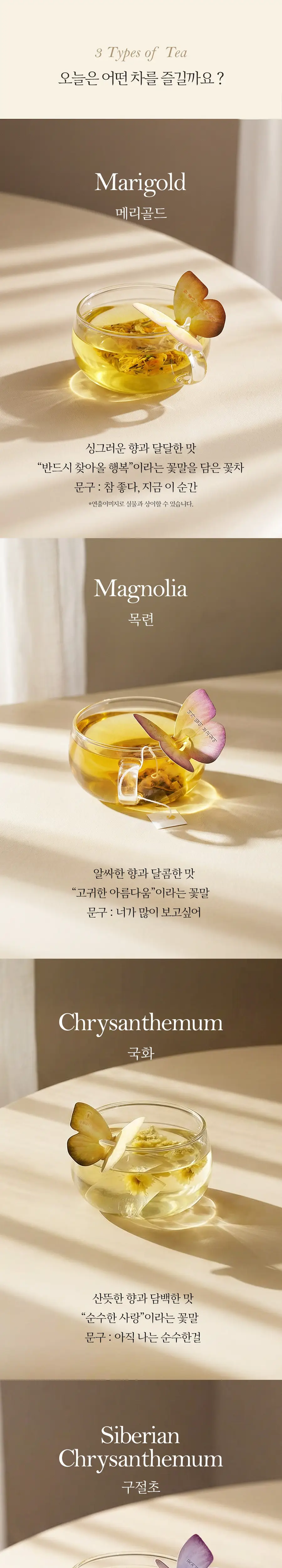 꽃을담다 나비티백 차선물세트 쇼핑백증정 (3종 중 택1) 상세페이지 6