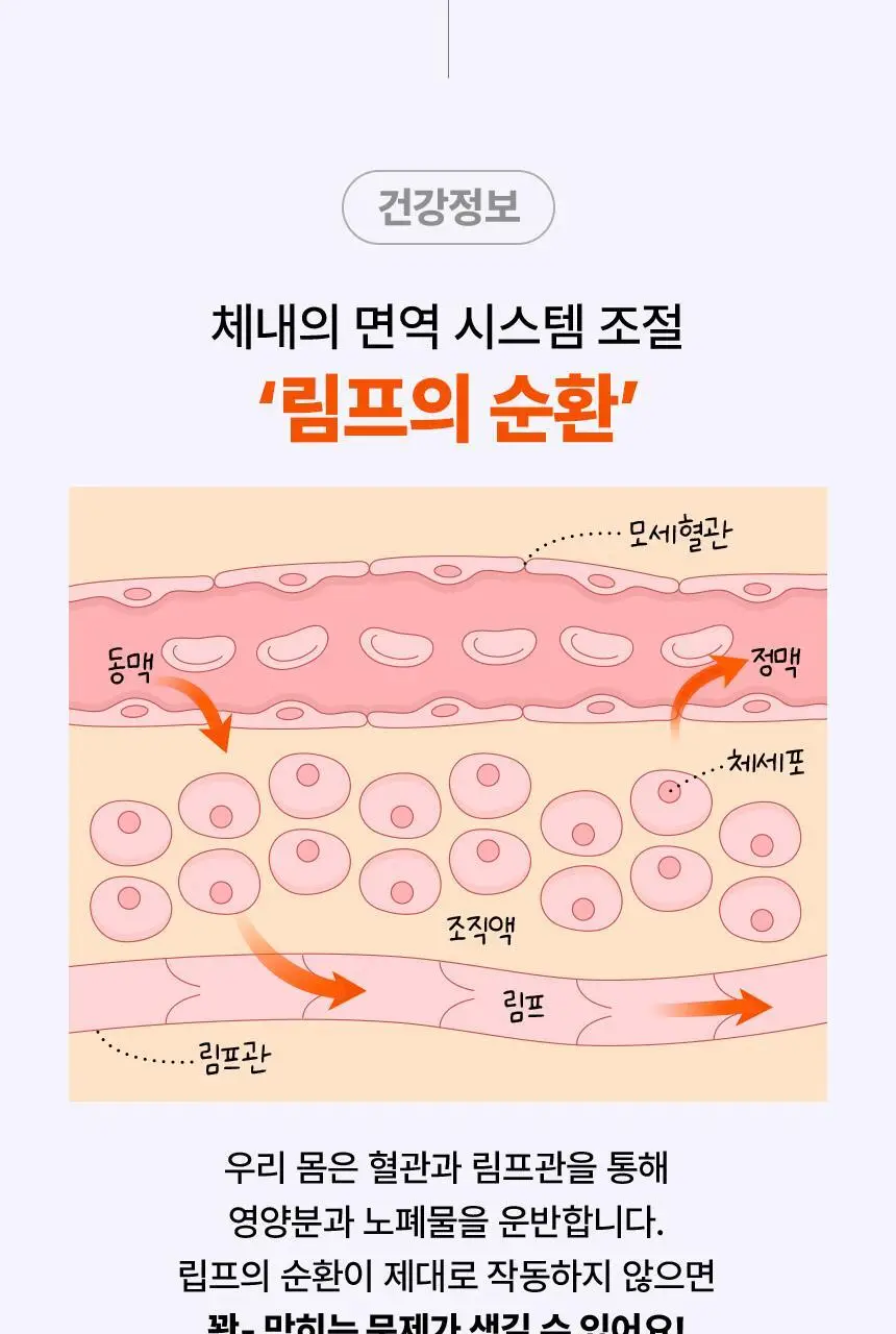 낫띵베럴 럽티 호박차 V루틴 세트 상세페이지 24