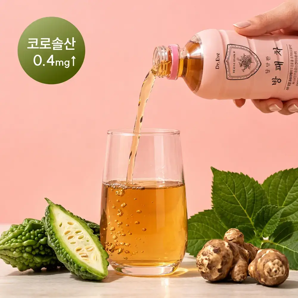 닥터이브 방패차 PET 500ml