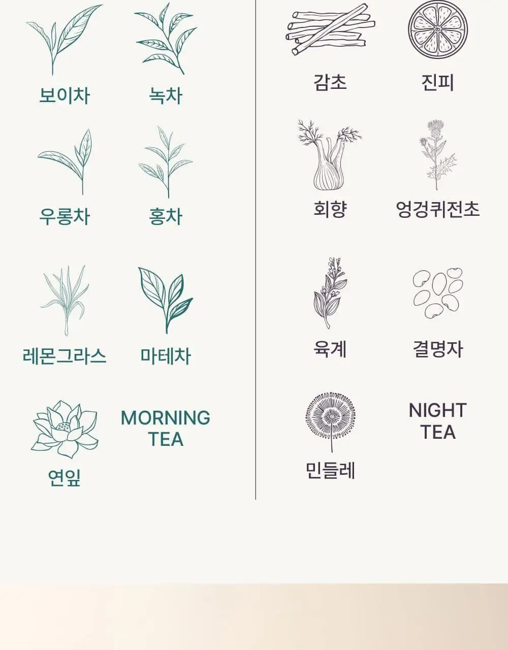 달심 나이트 클렌즈티 1.5g 28개입 상세페이지 5