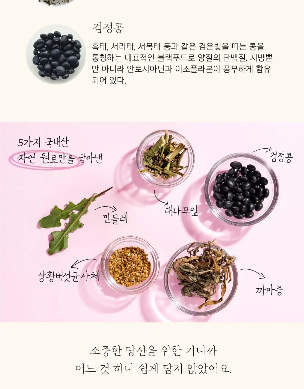 달심 말린 달심차 1.5g 20개입 상세페이지 19