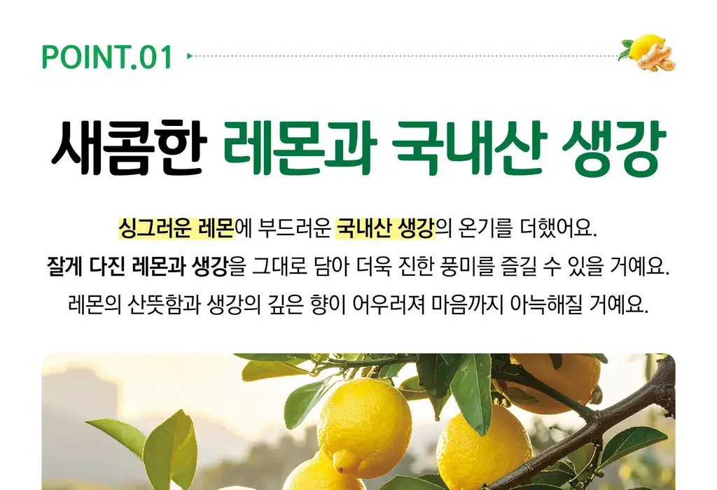 담터 꿀 레몬생강차 포션 15T 상세페이지 4