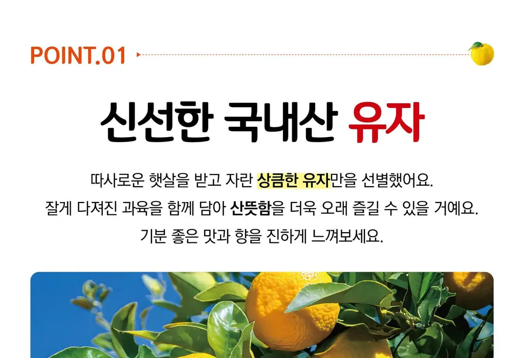 담터 꿀 유자차 포션 15T 상세페이지 4