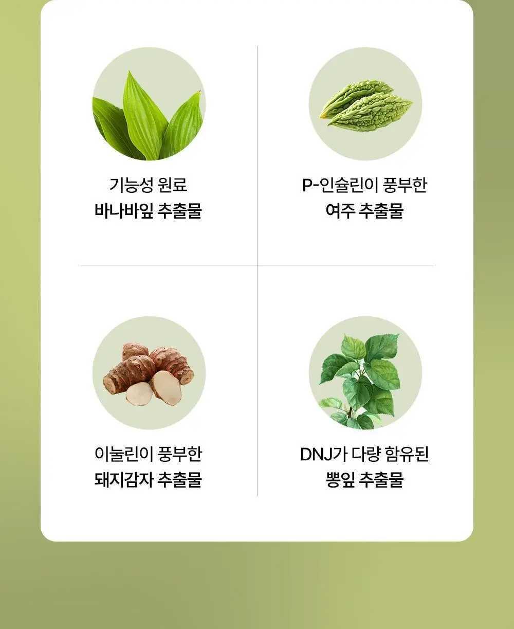 당쉼 바나바잎 여주 돼지감자차 500ml 상세페이지 22