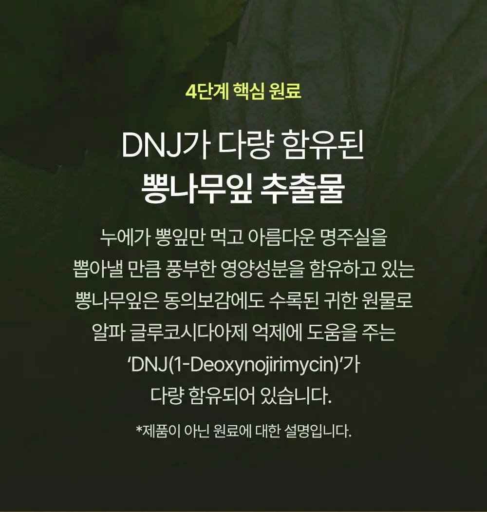 당쉼 바나바잎 여주 돼지감자차 500ml 상세페이지 26