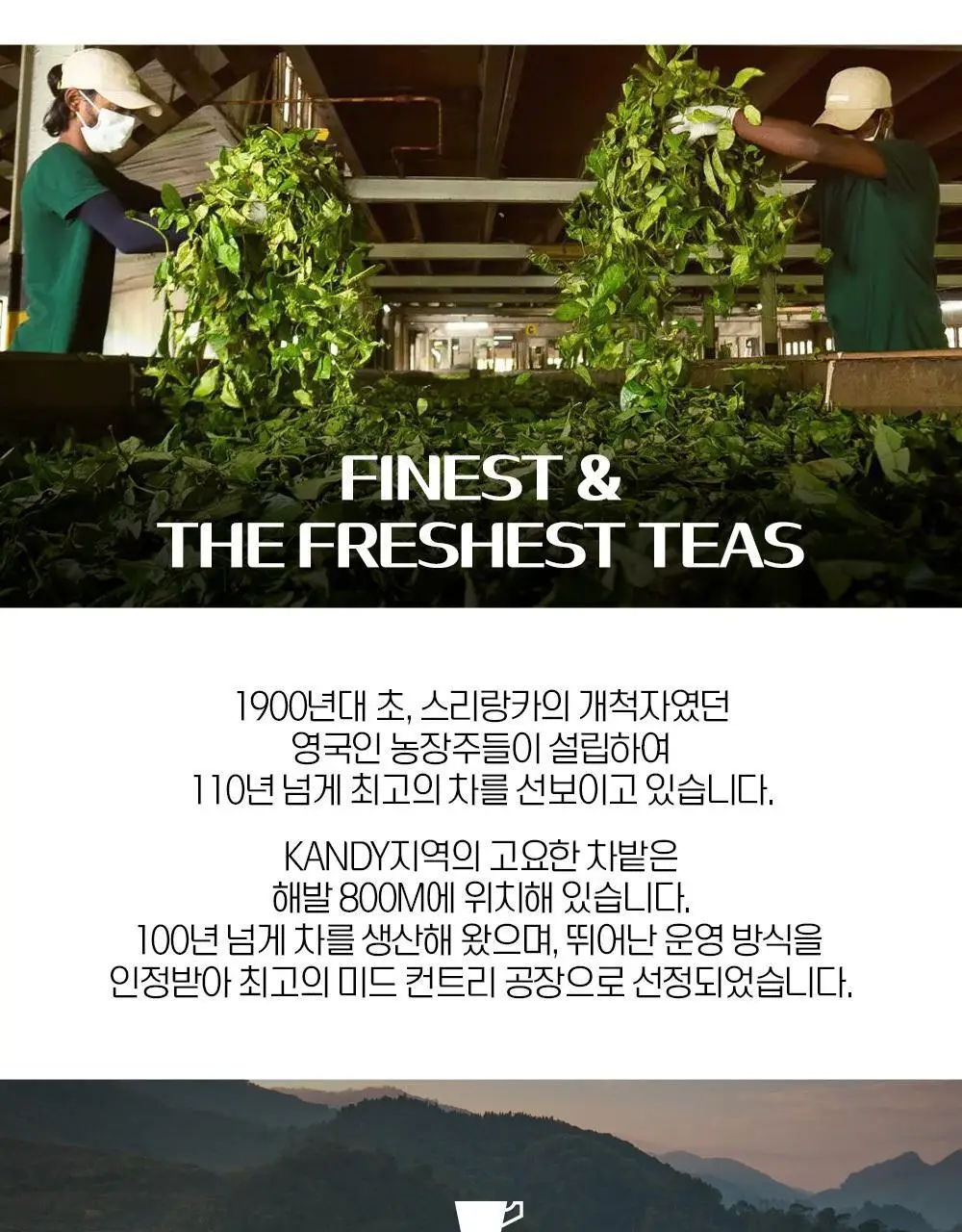 맥코이티 티백 2g 20개입 초콜렛 스트로베리 상세페이지 12
