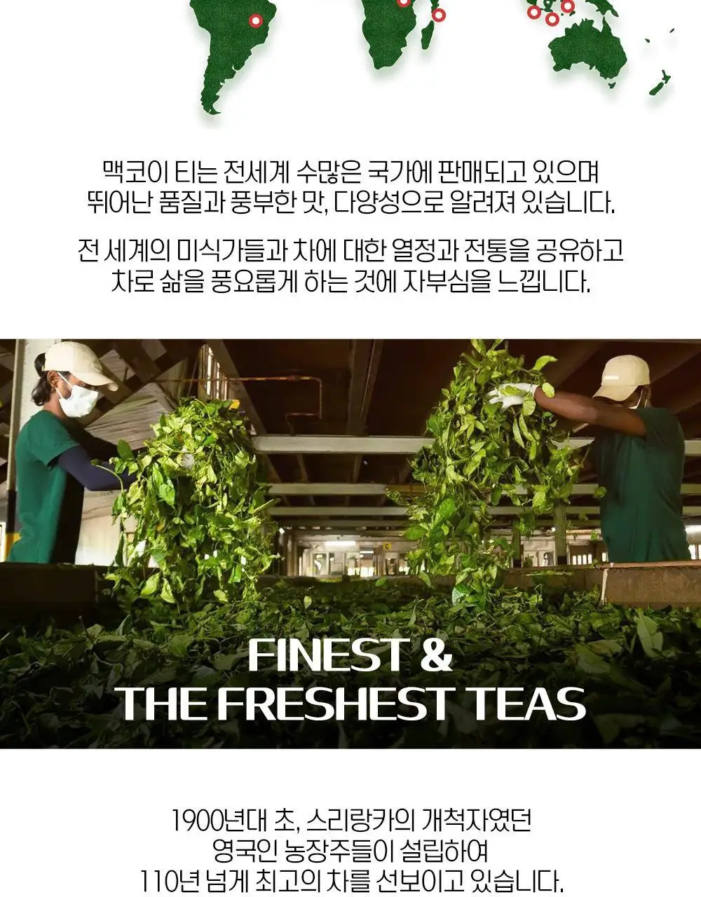 맥코이티 티백 2g 20개입 파이니스트 티 컬렉션 상세페이지 12