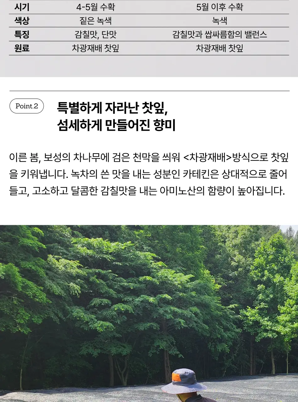 맥파이앤타이거 말차 40g 세레모니얼 상세페이지 6