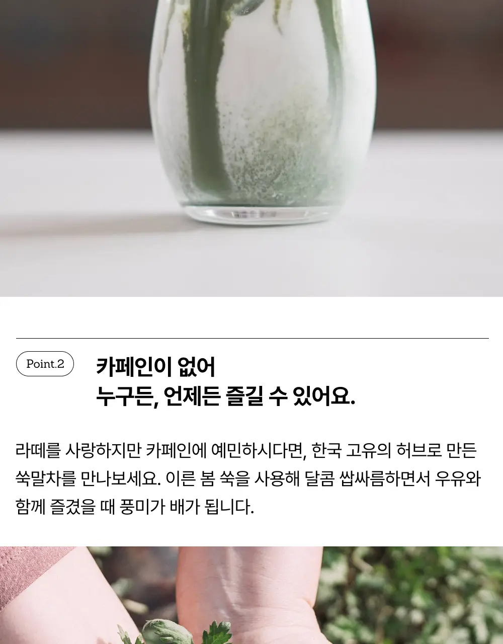 맥파이앤타이거 말차 40g 쑥 상세페이지 6