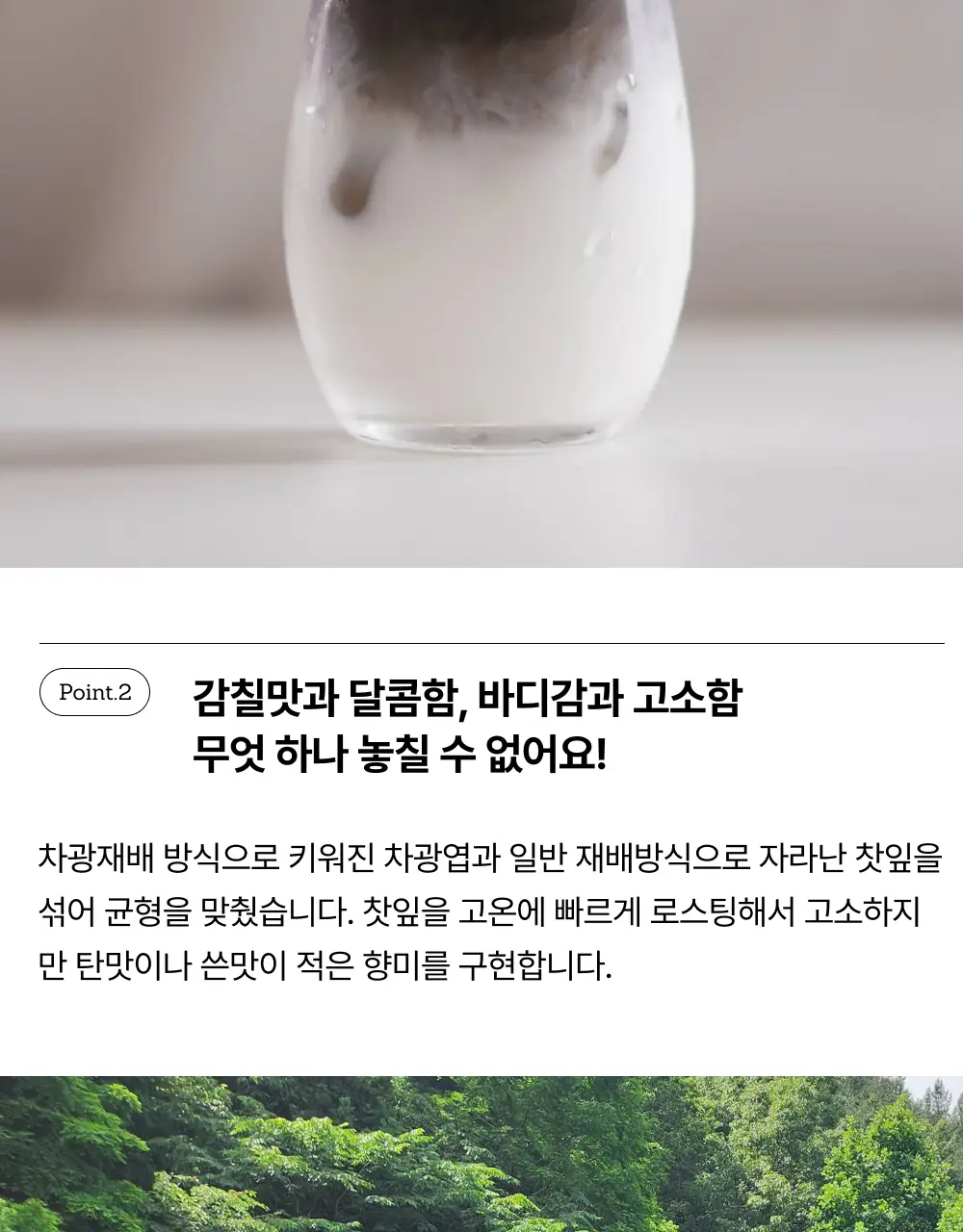 맥파이앤타이거 말차 40g 호지 상세페이지 6