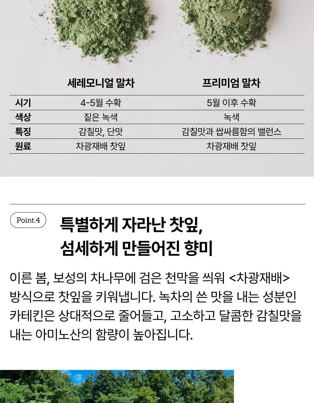 맥파이앤타이거 선물세트 2종 택 1 (세레모니얼 말차 선물세트/먼슬리 티백컬렉션 (6종 30입)) 상세페이지 12