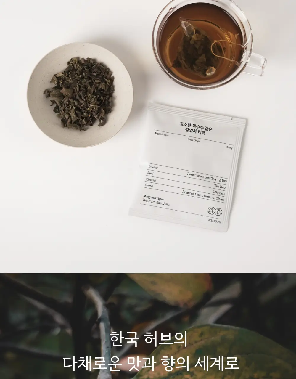 맥파이앤타이거 티백 1.5g 10개입 감잎차 상세페이지 3