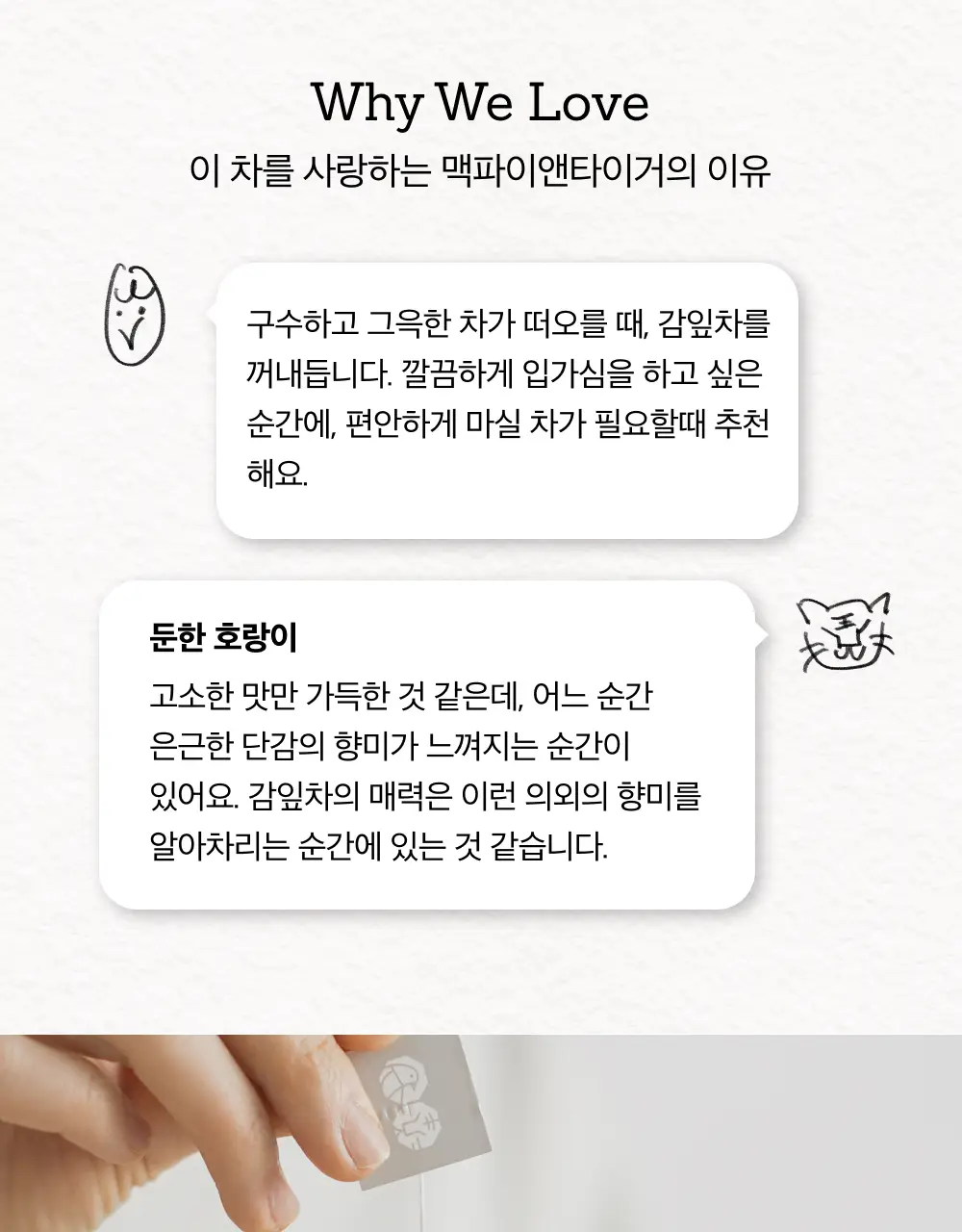 맥파이앤타이거 티백 1.5g 10개입 감잎차 상세페이지 6