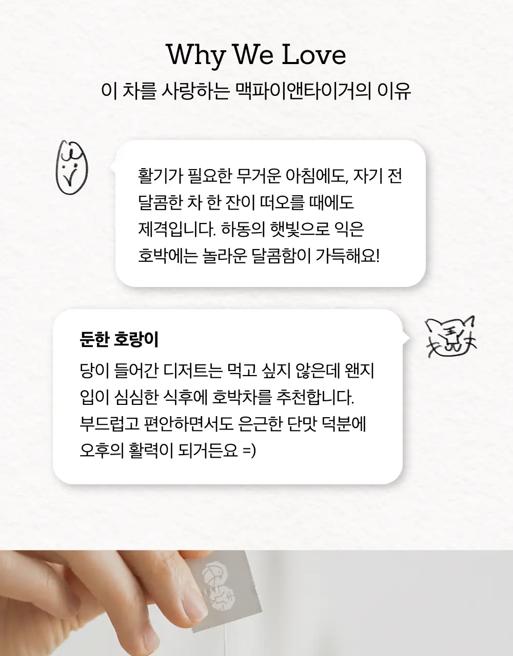 맥파이앤타이거 티백 1.5g 10개입 호박차 상세페이지 5
