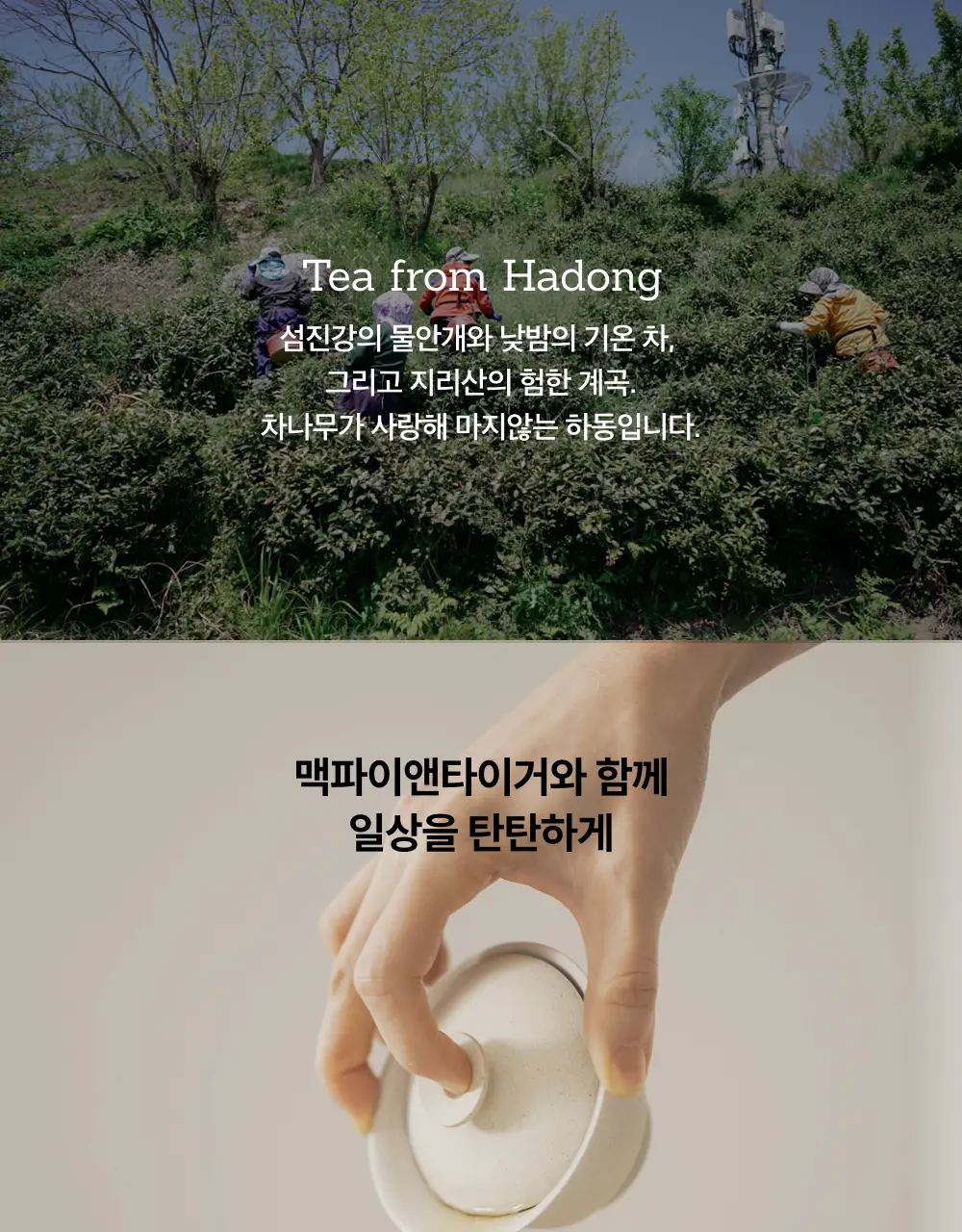 맥파이앤타이거 티백 2g 10개입 잭살차 상세페이지 9