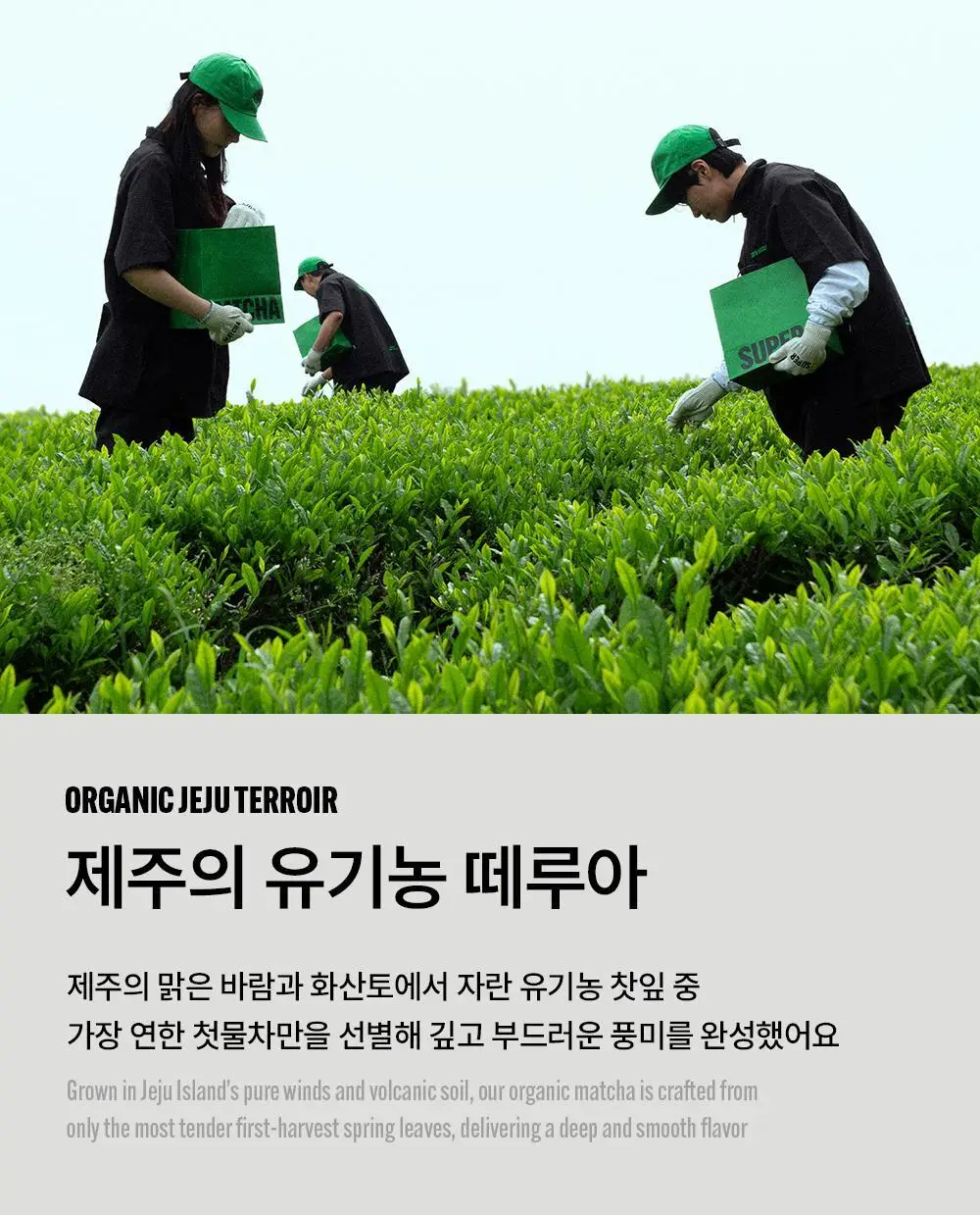 슈퍼말차 포켓 트라이얼 (4EA) 상세페이지 7