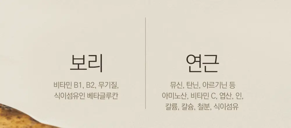 스위치온 오붓티 연근보리 20개입 상세페이지 9