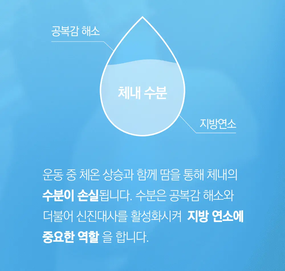스위치온 오붓티 연근보리 20개입 상세페이지 39