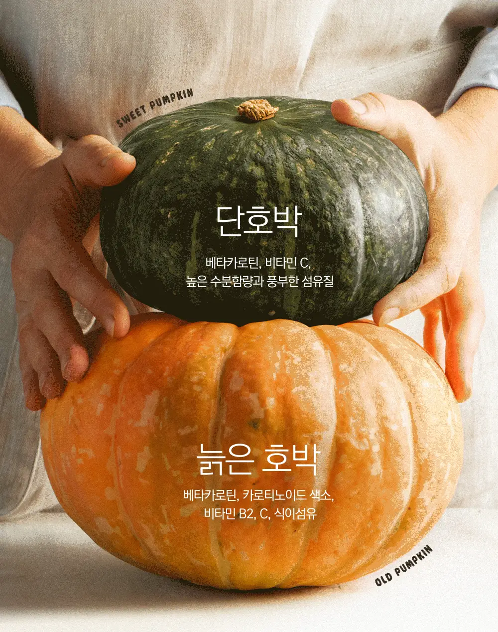 스위치온 오붓티 3종 택1(호박차/연근보리/작두콩) 상세페이지 9