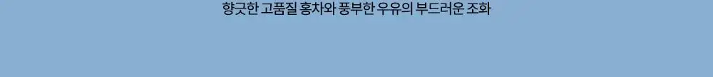 스타벅스 시그니처 밀크티 325ml 상세페이지 6