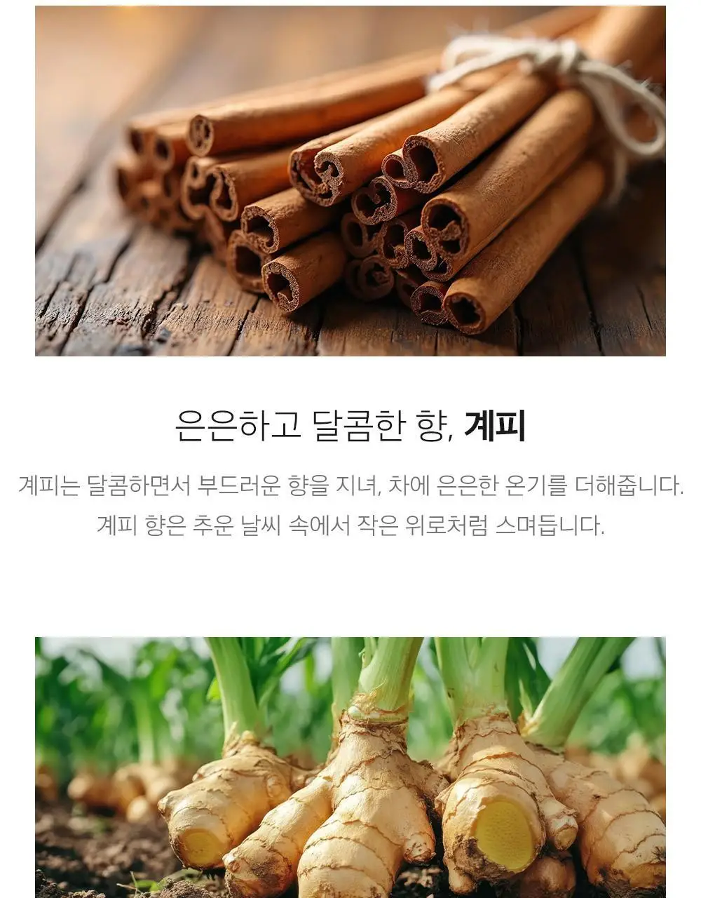 쌍계명차 골드주빌리 온기충전 계피생강 10티백 상세페이지 6