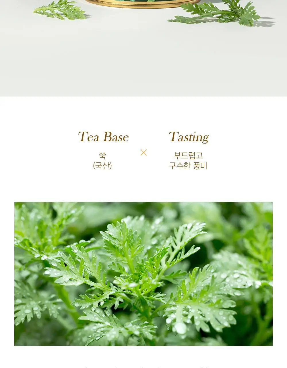쌍계명차 골드주빌리 이른봄 쑥향기 10티백 상세페이지 6