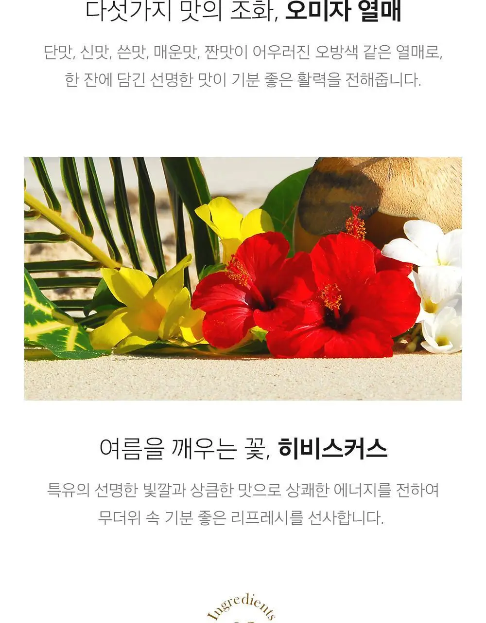 쌍계명차 골드주빌리 한여름 오미자 10티백 상세페이지 7