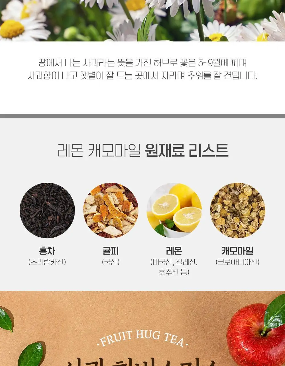 쌍계명차 과일뿜뿜 선물세트(사과+레몬+오렌지)과일허그 10TB 3종 세트 상세페이지 4