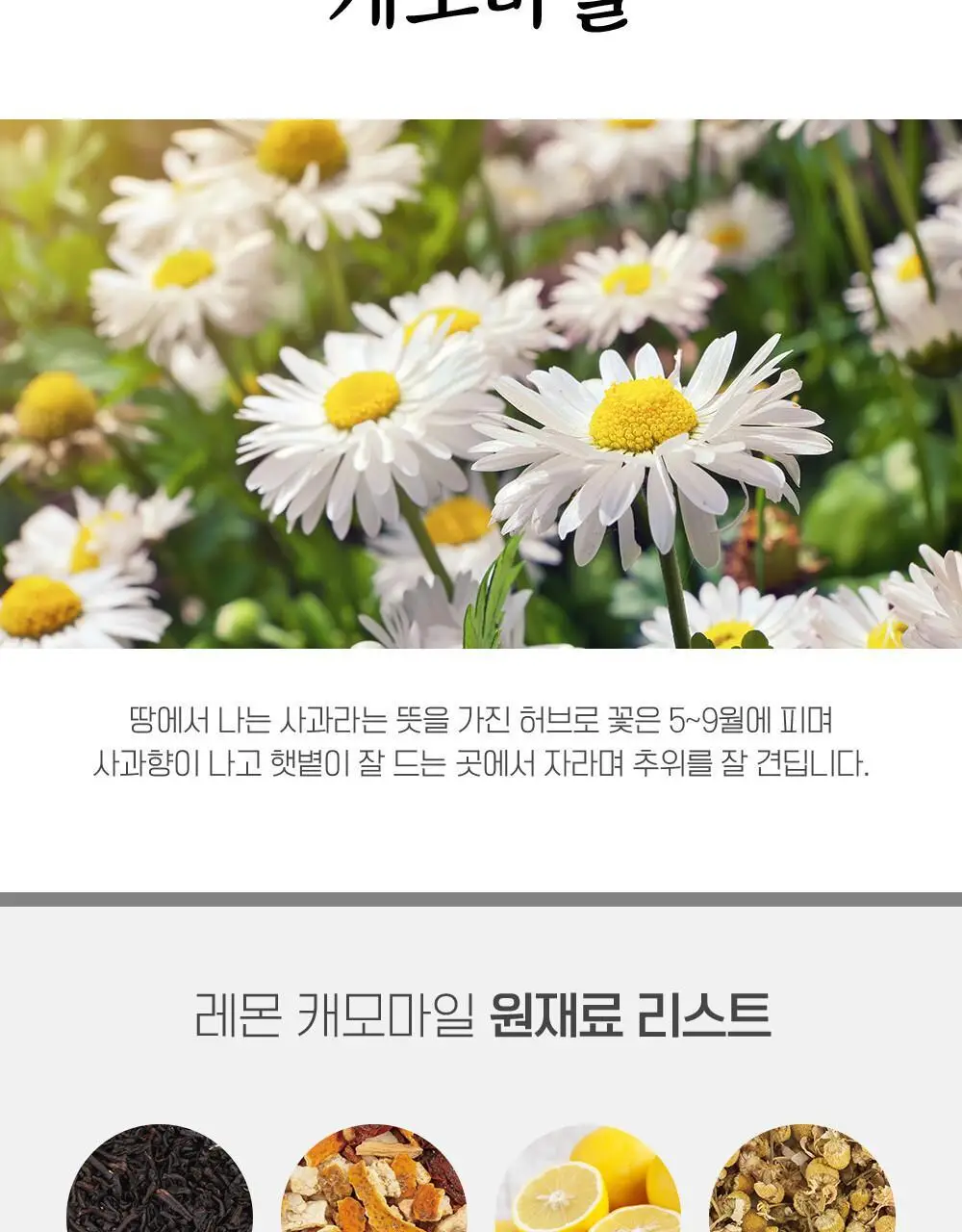 쌍계명차 과일허그티캔 레몬캐모마일 상세페이지 4