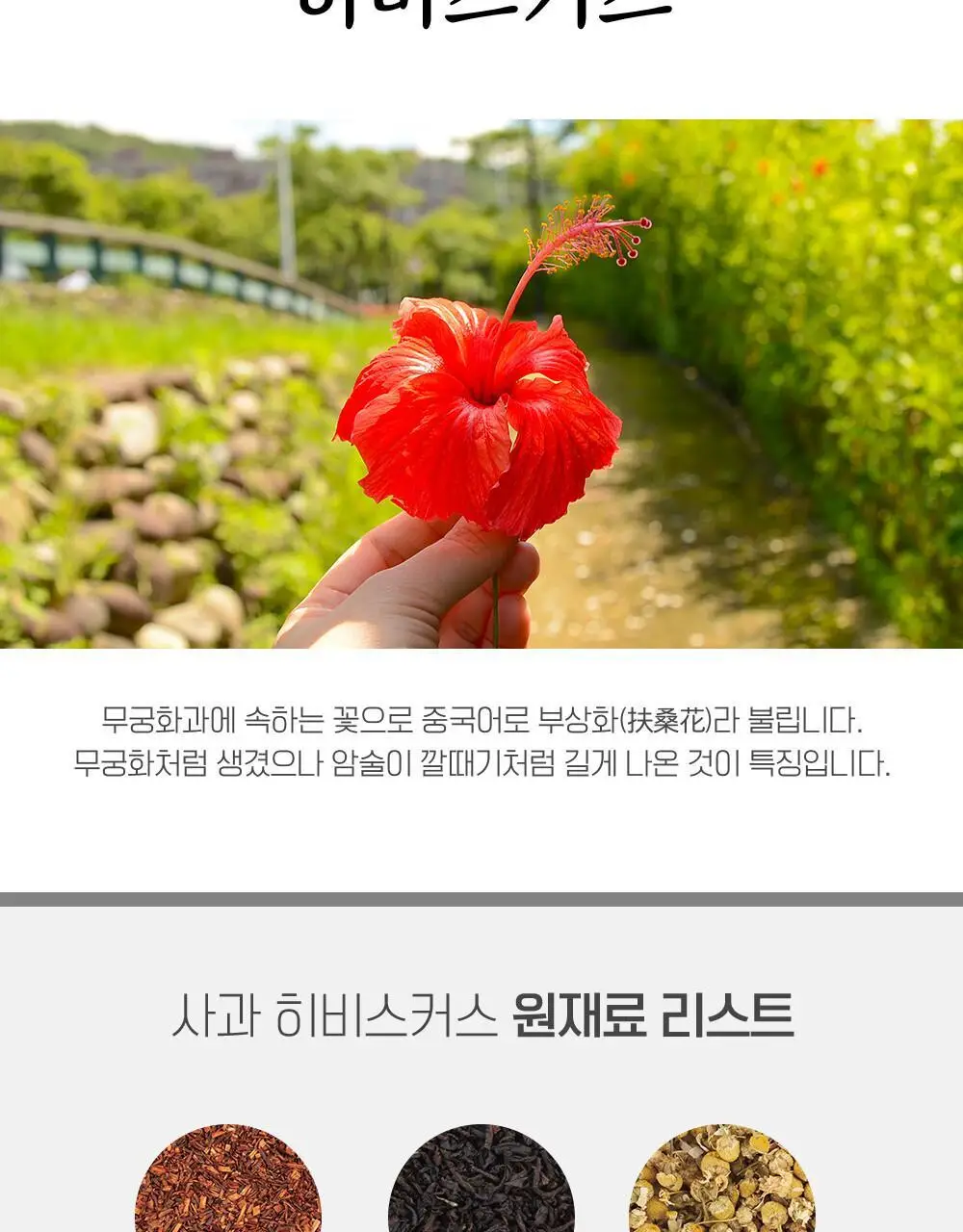 쌍계명차 과일허그티캔 사과히비스커스 상세페이지 4